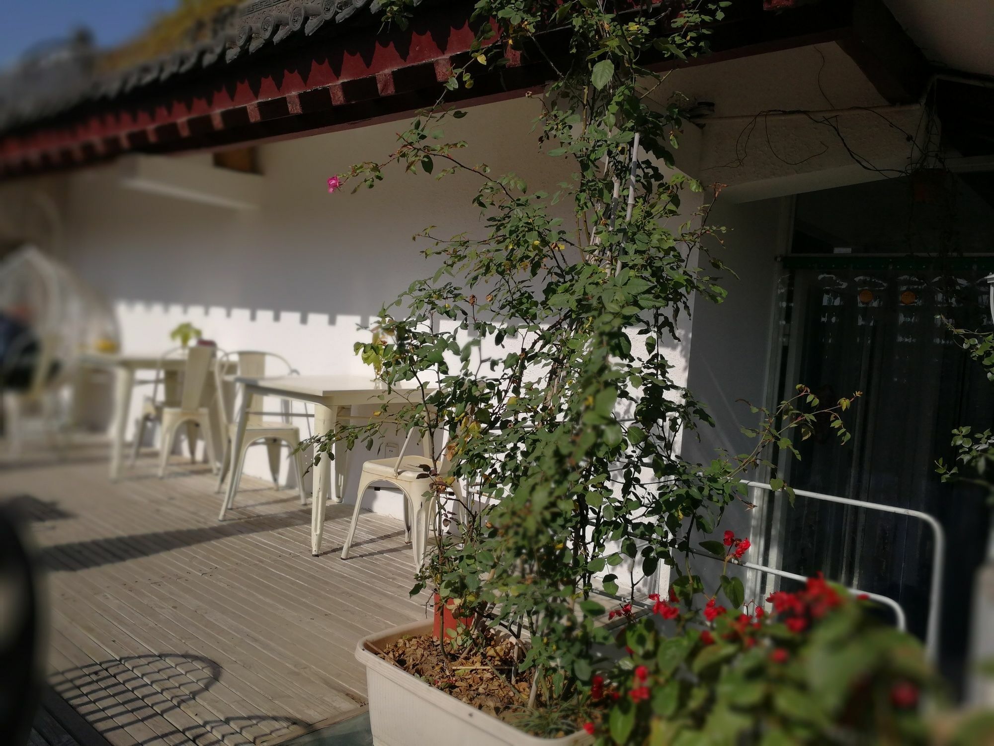 Xi'An See Tang Guesthouse Xi'an (Shaanxi) Exterior foto